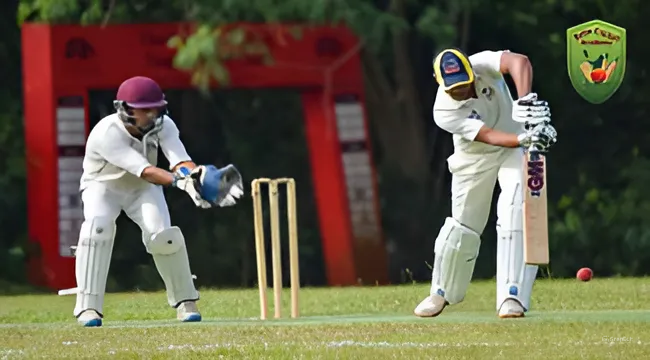 Famous cricket academies in Greater Noida