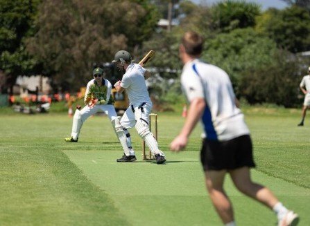 Top 5 Cricket Academies in Noida