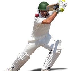 pngimg.com - cricket_PNG31